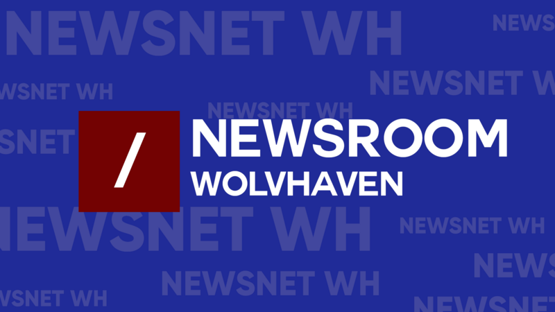 File:Newsroom Title Card.png