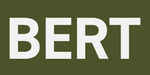BERT.png