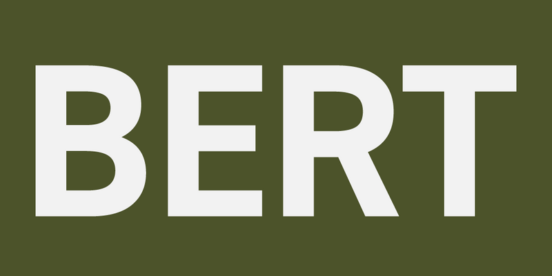File:BERT.png