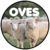 POTUS-OVES.png
